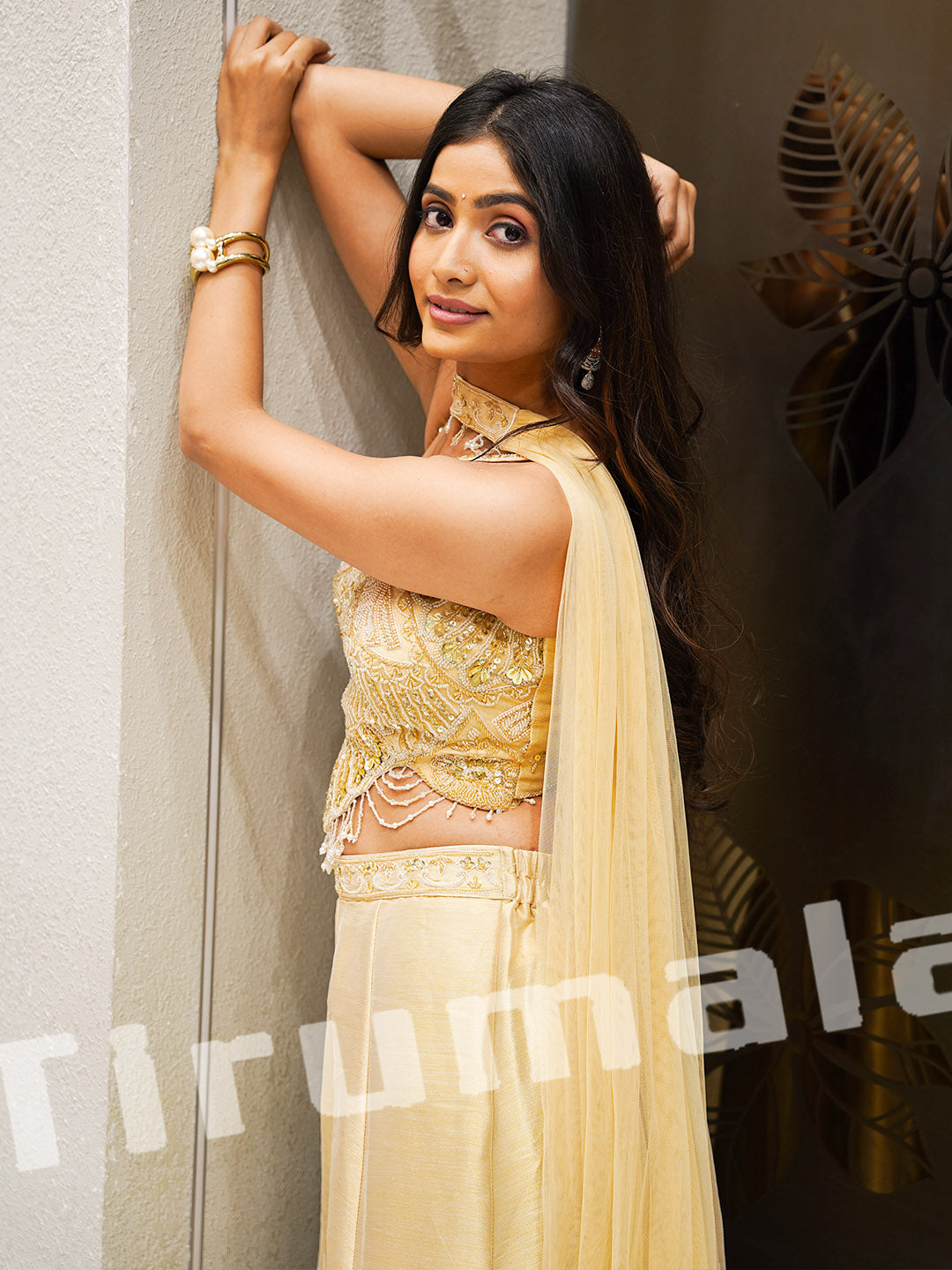 Beige Banarasi Tissue Crop Top Set